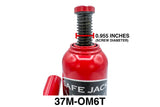 Starter Bottle Jack Recovery Kit with 6 Ton Bottle Jack